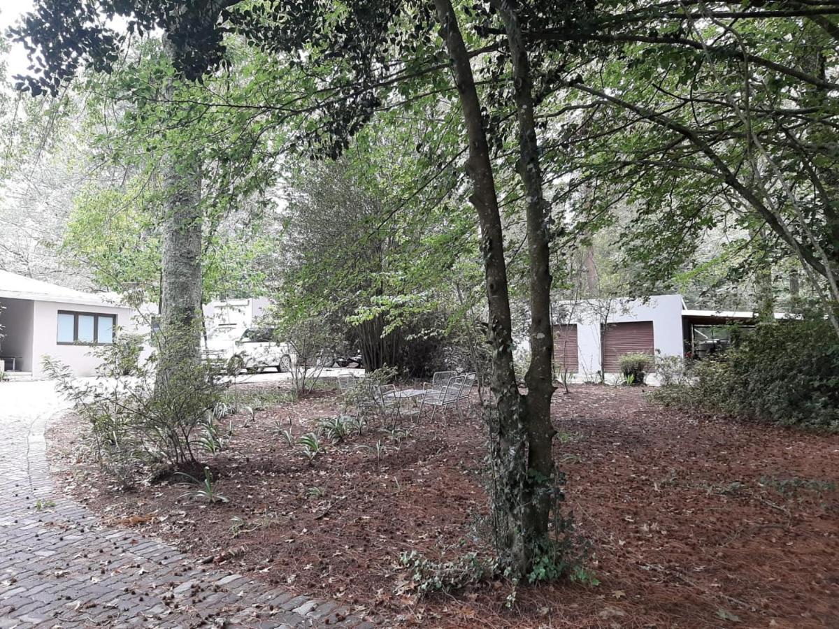 Camroshell Hotel Hogsback Ngoại thất bức ảnh