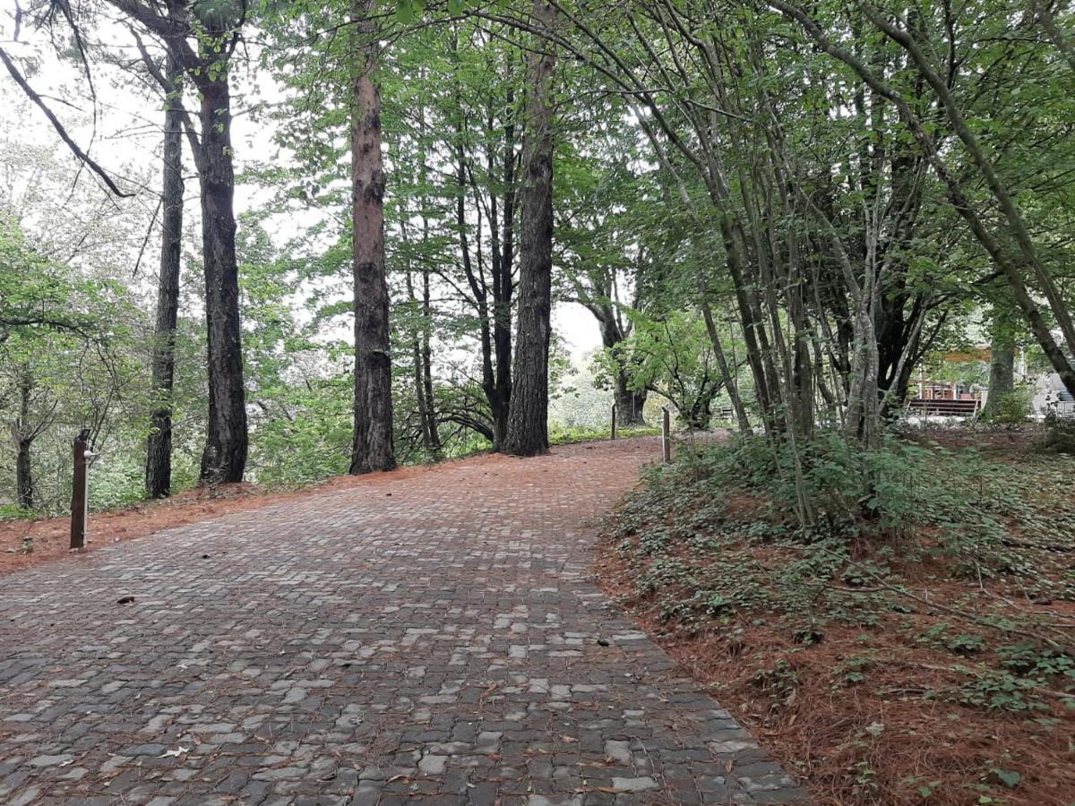 Camroshell Hotel Hogsback Ngoại thất bức ảnh